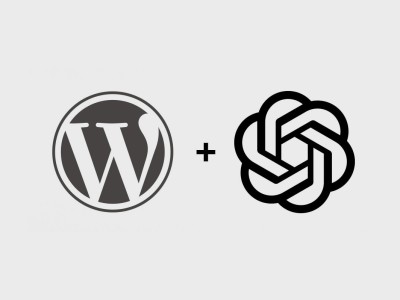 WordPress通过OpenAI接口自动优化TAG标签描述内容