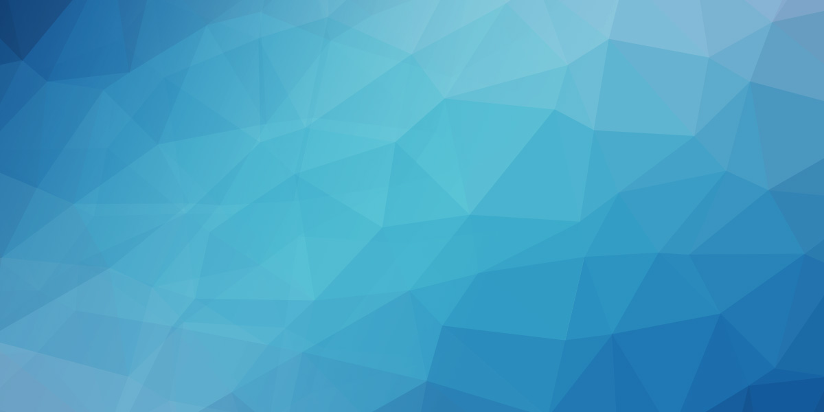 黑帽SEO优化:电商网站SEO策略